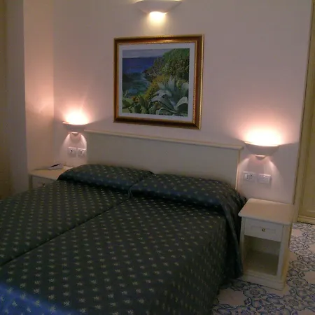 Alexander Palme Hotel