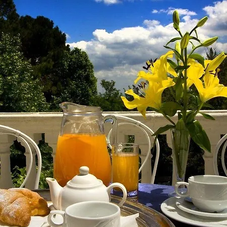 Otel Alexander Palme 4*